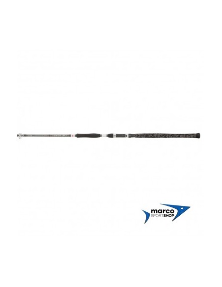 Penn Legion Cat Silver Power AR 3 Mt 200-400 Gr