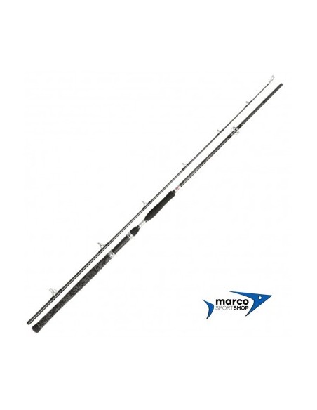 Penn Legion Cat Silver Allround 2,7 Mt Casting 100-300 Gr