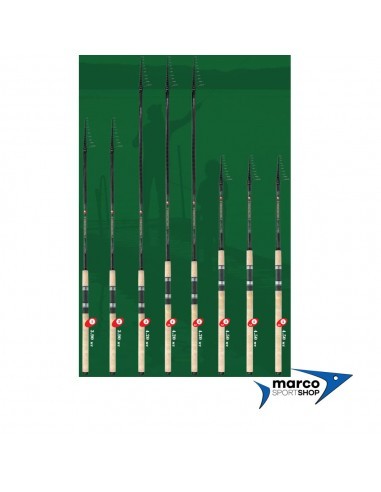 Fly Incredibile Azione 4 4,2 Mt 10-60 Gr