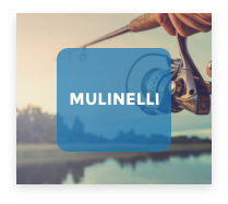 Mulinelli