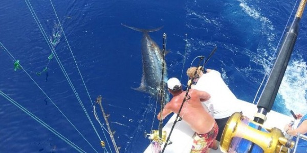 Pesca d'altura in Mare