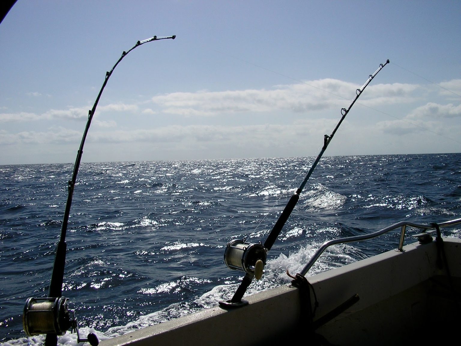 Pesca d'altura in Mare
